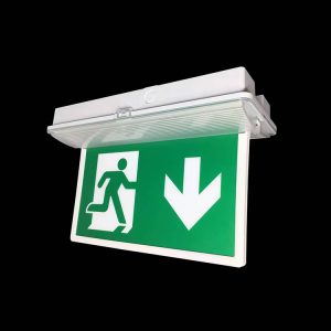 IP65 emergency LED light - Image 3
